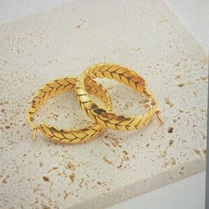 Elegant Gold Hoop Earrings